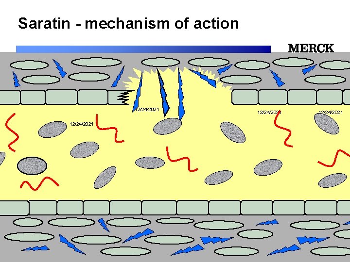 Saratin - mechanism of action 12/24/2021 12/24/2021 Biomedical R&D Folie (slide) 25 
