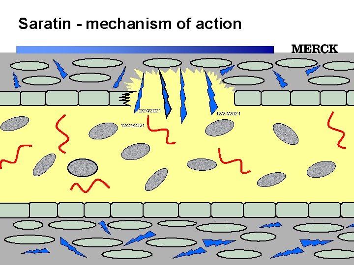 Saratin - mechanism of action 12/24/2021 12/24/2021 Biomedical R&D Folie (slide) 26 