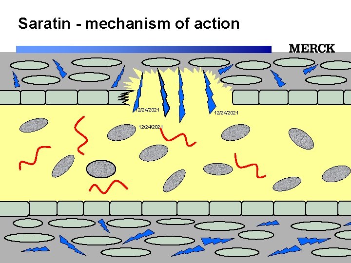 Saratin - mechanism of action 12/24/2021 12/24/2021 Biomedical R&D Folie (slide) 27 