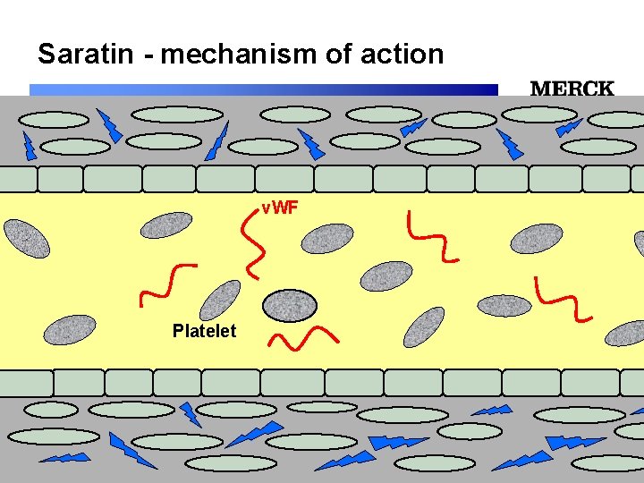 Saratin - mechanism of action 12/24/2021 v. WF 12/24/2021 Platelet 12/24/2021 Biomedical R&D Folie