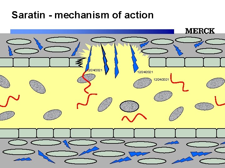 Saratin - mechanism of action 12/24/2021 12/24/2021 Biomedical R&D Folie (slide) 30 