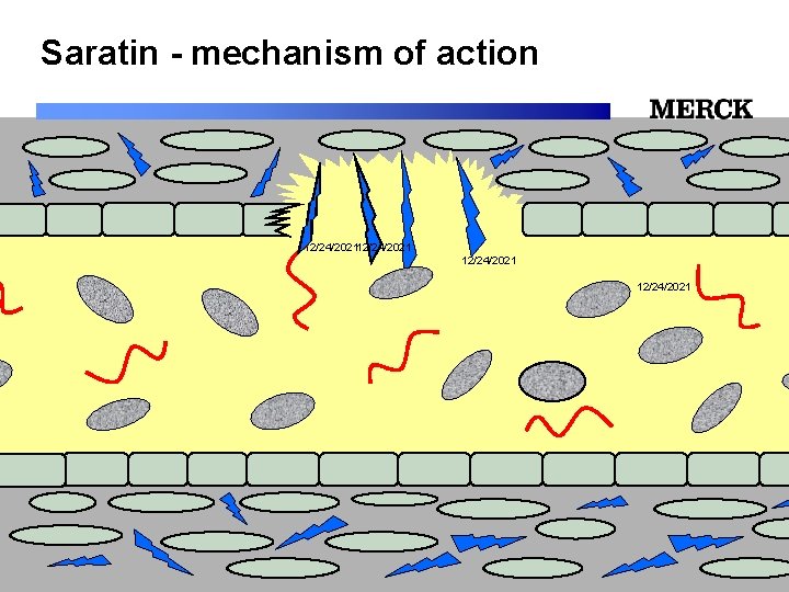 Saratin - mechanism of action 12/24/2021 12/24/2021 Biomedical R&D Folie (slide) 31 