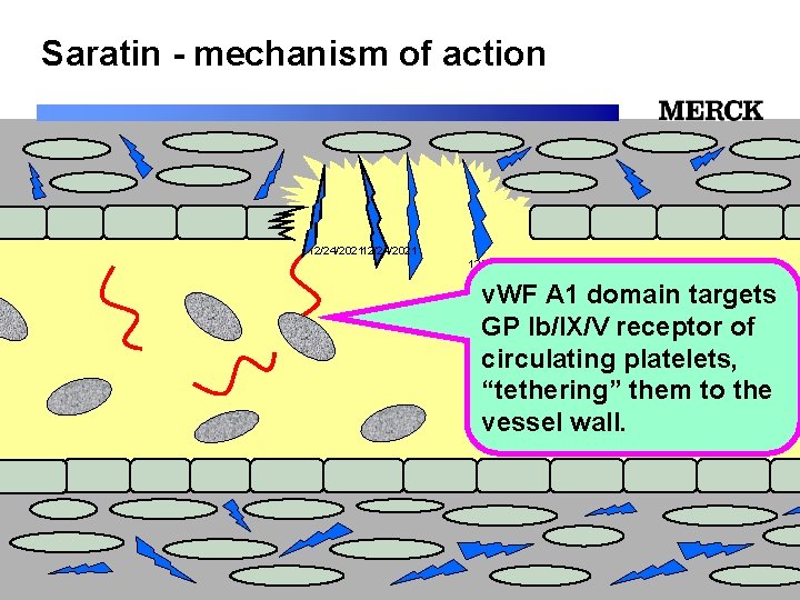 Saratin - mechanism of action 12/24/2021 12/24/202 v. WF A 1 domain targets GP