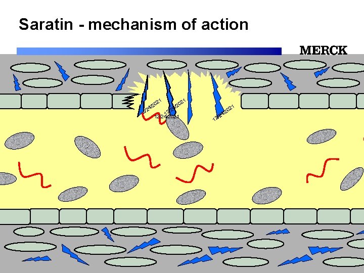 Saratin - mechanism of action 1 1 02 02 2 2 / / /24