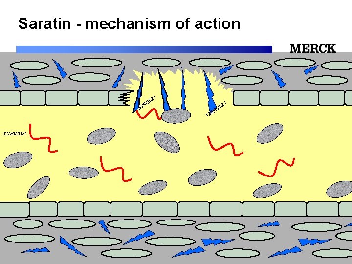Saratin - mechanism of action 1 02 2 / /24 12 12/24/2021 Biomedical R&D
