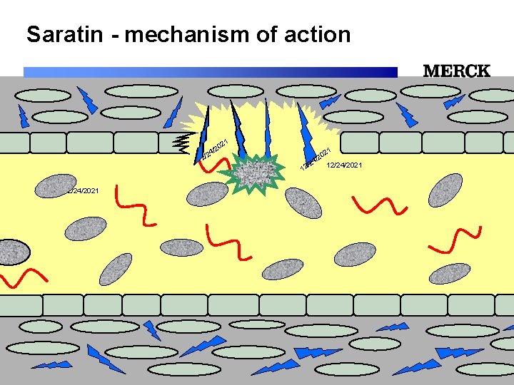 Saratin - mechanism of action 1 02 2 / /24 12/24/2021 12/24/2021 Biomedical R&D