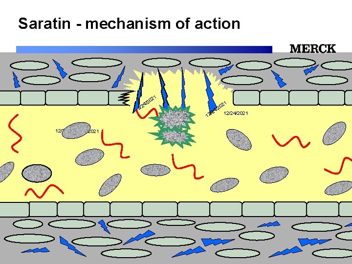 Saratin - mechanism of action 1 02 2 / /24 12/24/2021 12/24/2021 Biomedical R&D