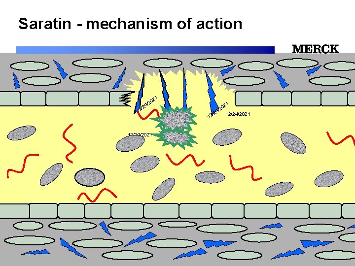 Saratin - mechanism of action 1 02 2 / /24 12/24/2021 12/24/2021 Biomedical R&D