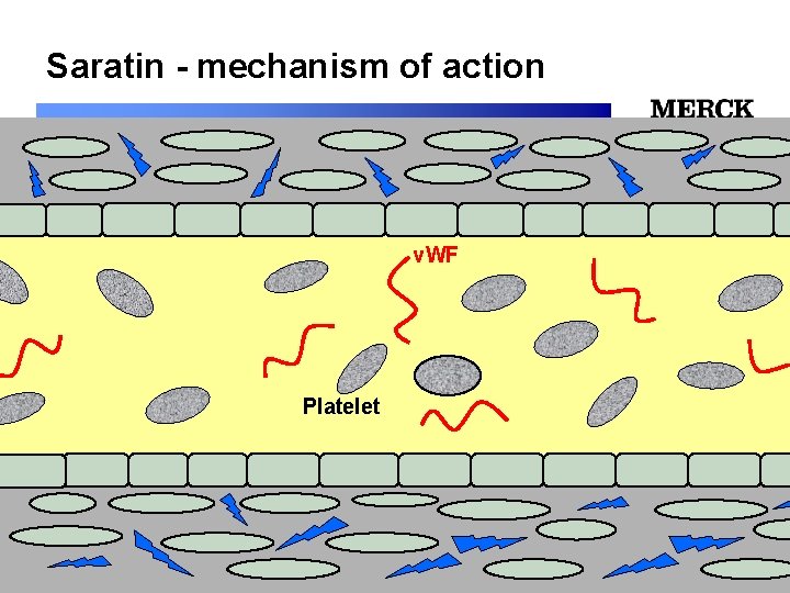 Saratin - mechanism of action 12/24/2021 v. WF 12/24/2021 Platelet 12/24/2021 Biomedical R&D Folie