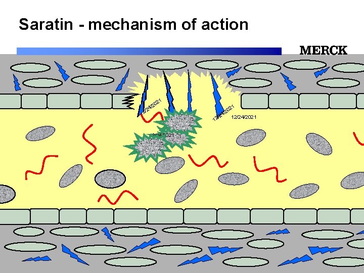 Saratin - mechanism of action 1 02 2 / /24 12/24/2021 12/24/2021 Biomedical R&D