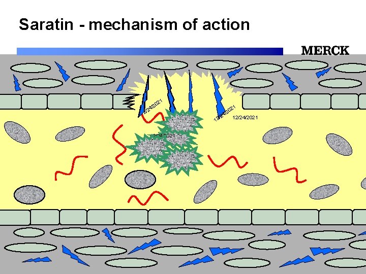 Saratin - mechanism of action 1 02 2 / /24 12/24/2021 12/24/2021 Biomedical R&D