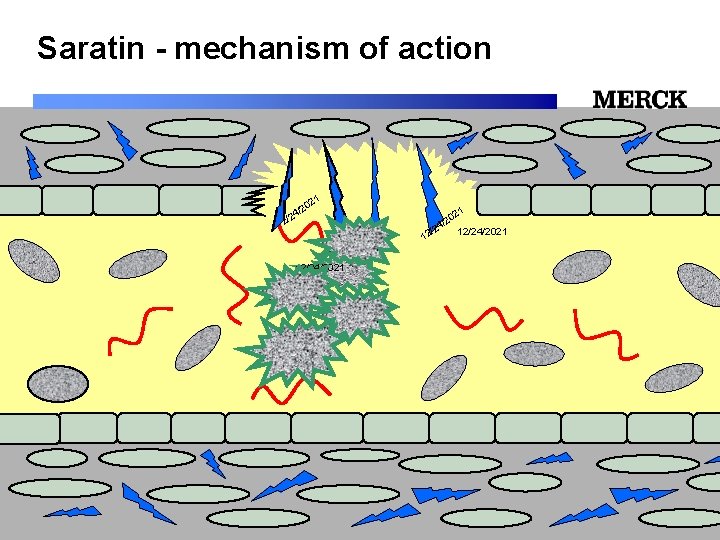 Saratin - mechanism of action 1 02 2 / /24 12/24/2021 12/24/2021 Biomedical R&D