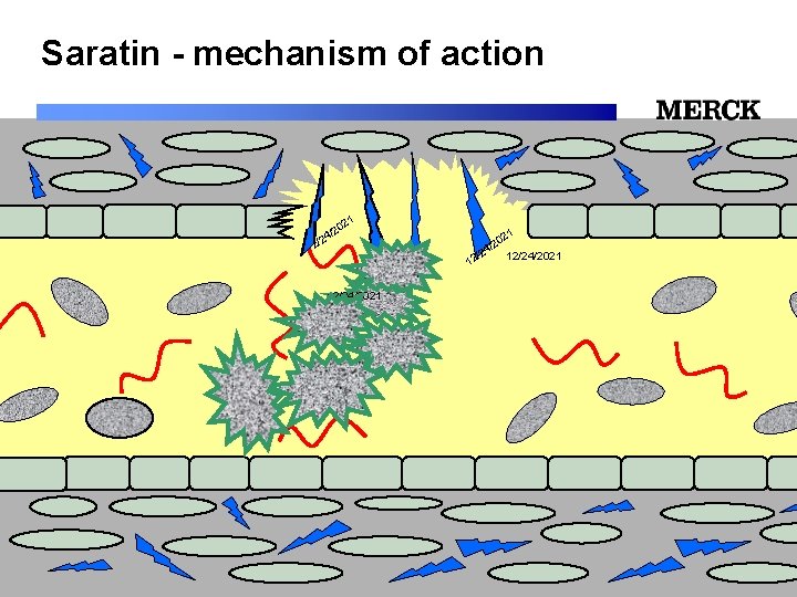 Saratin - mechanism of action 1 02 2 / /24 12/24/2021 12/24/2021 Biomedical R&D