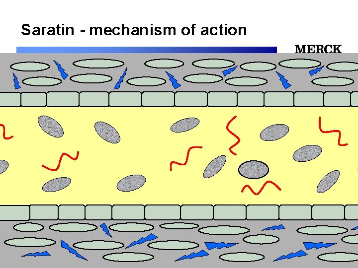 Saratin - mechanism of action 12/24/2021 Biomedical R&D Folie (slide) 46 