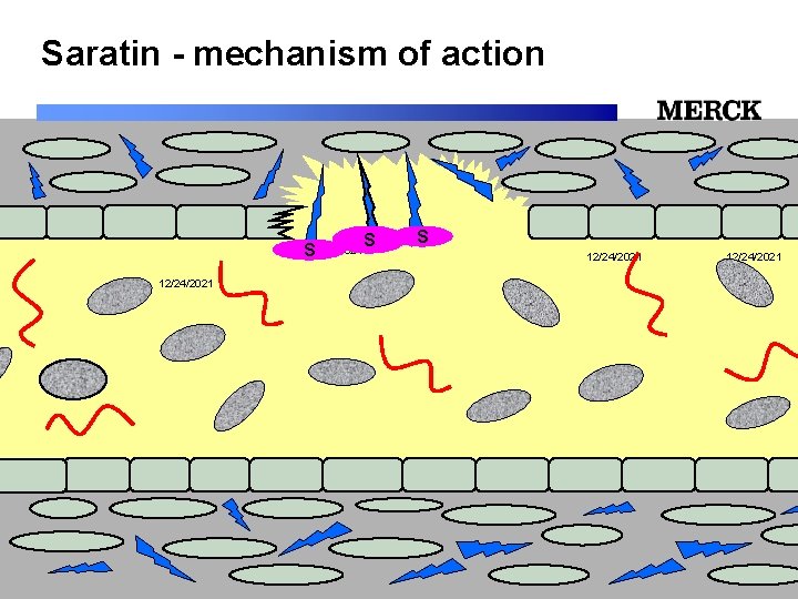 Saratin - mechanism of action S 12/24/2021 S S 12/24/2021 12/24/2021 Biomedical R&D Folie