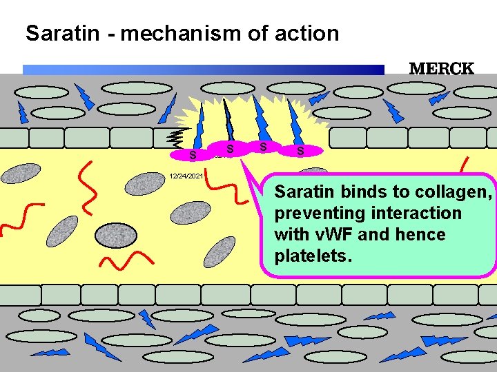 Saratin - mechanism of action S 12/24/2021 S S S 12/24/2021 Saratin binds to