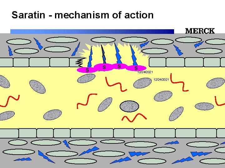 Saratin - mechanism of action S 12/24/2021 S S S 12/24/2021 Biomedical R&D Folie