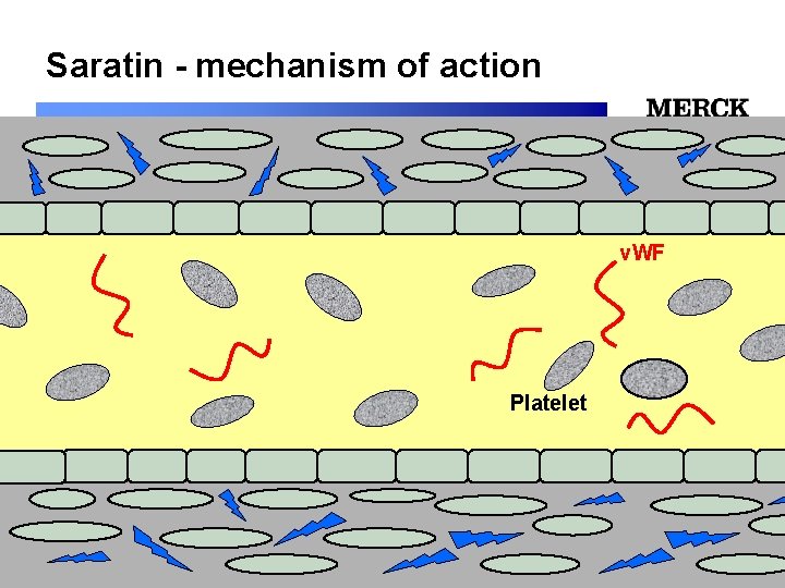 Saratin - mechanism of action 12/24/2021 v. WF 12/24/202 Platelet 12/24/2021 Biomedical R&D Folie