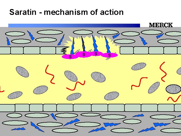 Saratin - mechanism of action 1 1 02 02 2 2 / / S/24