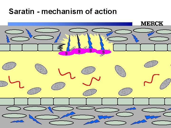 Saratin - mechanism of action 1 1 02 02 2 2 / / S/24