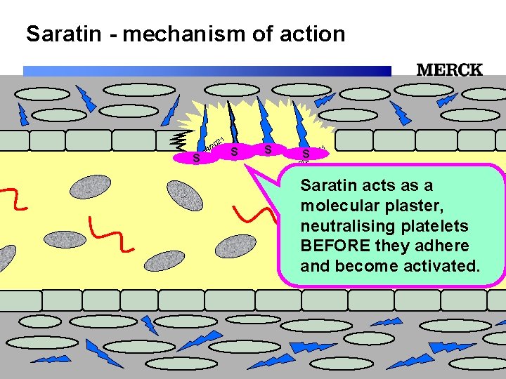 Saratin - mechanism of action 1 02 2 / /24 S 12 S S