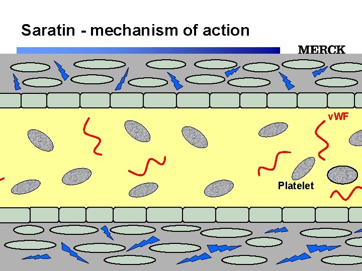 Saratin - mechanism of action 12/24/2021 v. WF Platelet 12/24/2021 Biomedical R&D Folie (slide)