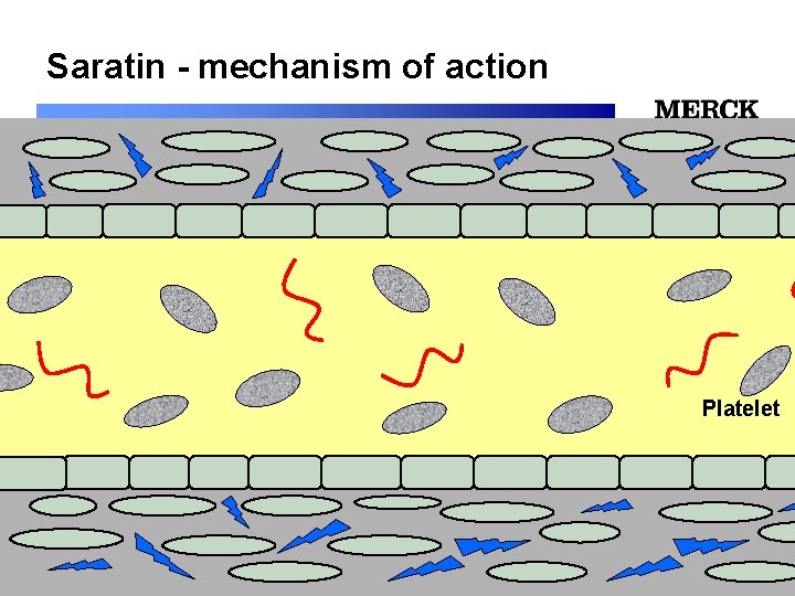 Saratin - mechanism of action 12/24/2021 Platelet 12/24/2021 Biomedical R&D Folie (slide) 8 