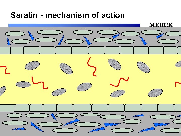 Saratin - mechanism of action 12/24/2021 Biomedical R&D Folie (slide) 9 
