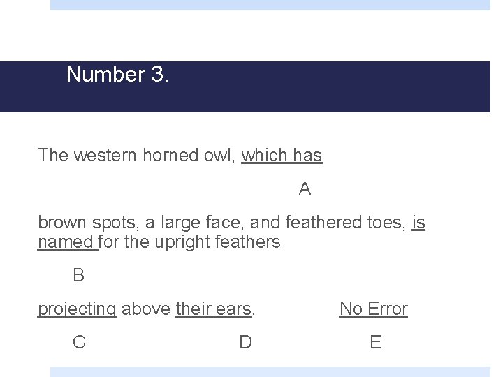 Number 3. The western horned owl, which has A brown spots, a large face,