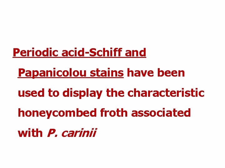 Periodic acid-Schiff and Papanicolou stains have been used to display the characteristic honeycombed froth Periodic acid-Schiff and Papanicolou stains have been used to display the characteristic honeycombed froth