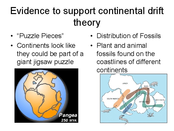 Evidence to support continental drift theory • “Puzzle Pieces” • Distribution of Fossils •