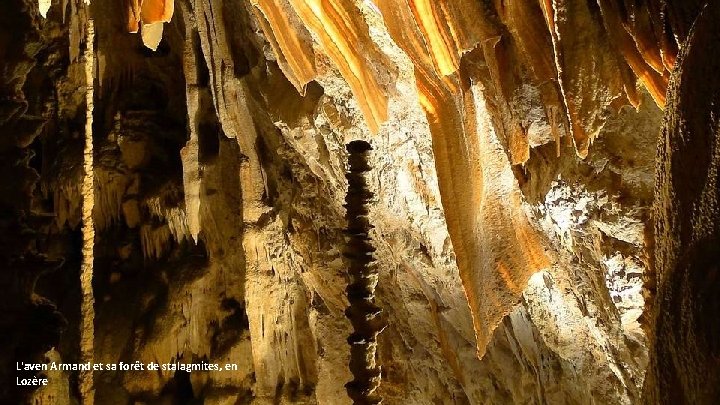 L'aven Armand et sa forêt de stalagmites, en Lozère 