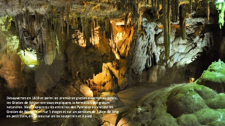 Découvertes en 1810 et parmi les premières grottes ouvertes au public, les Grottes de