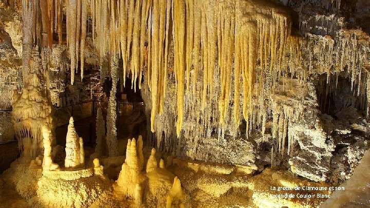 La grotte de Clamouse et son splendide Couloir Blanc 