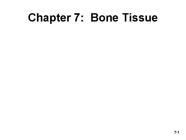 Chapter 7: Bone Tissue 7 -1 