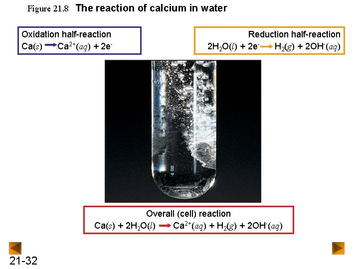 Figure 21. 8 The reaction of calcium in water Oxidation half-reaction Ca(s) Ca 2+(aq)