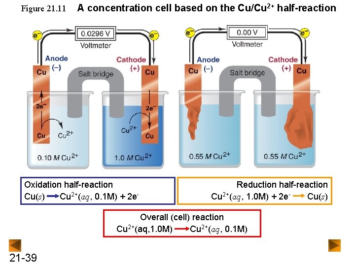 Figure 21. 11 A concentration cell based on the Cu/Cu 2+ half-reaction Oxidation half-reaction