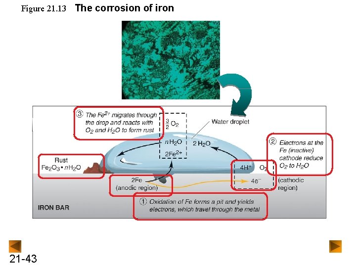 Figure 21. 13 The corrosion of iron 21 -43 