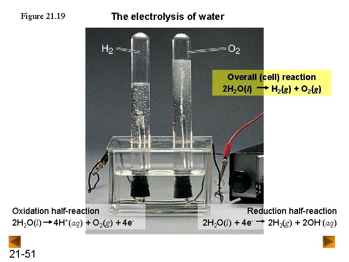 Figure 21. 19 The electrolysis of water Overall (cell) reaction 2 H 2 O(l)