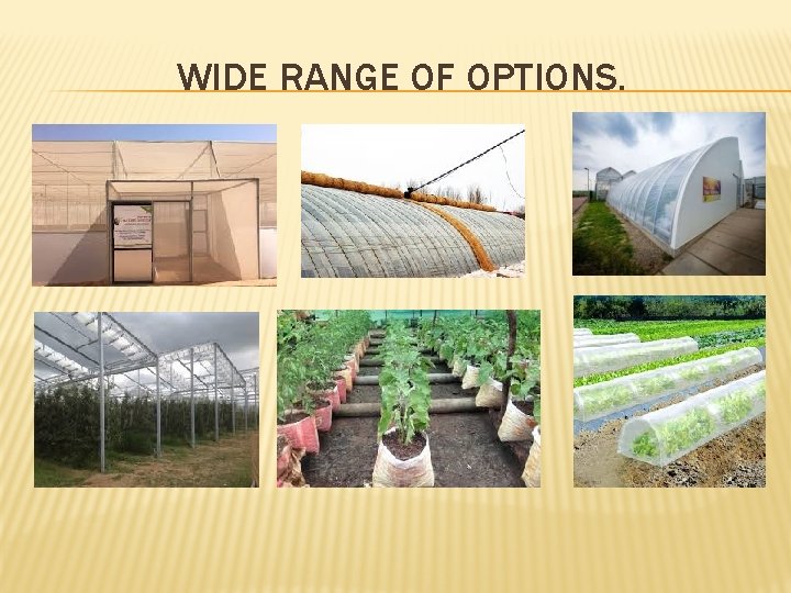 WIDE RANGE OF OPTIONS. 