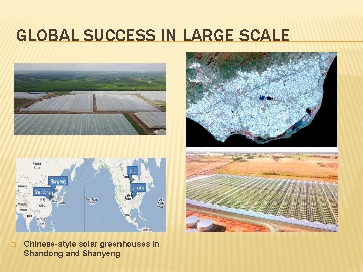 GLOBAL SUCCESS IN LARGE SCALE � Chinese-style solar greenhouses in Shandong and Shanyeng 