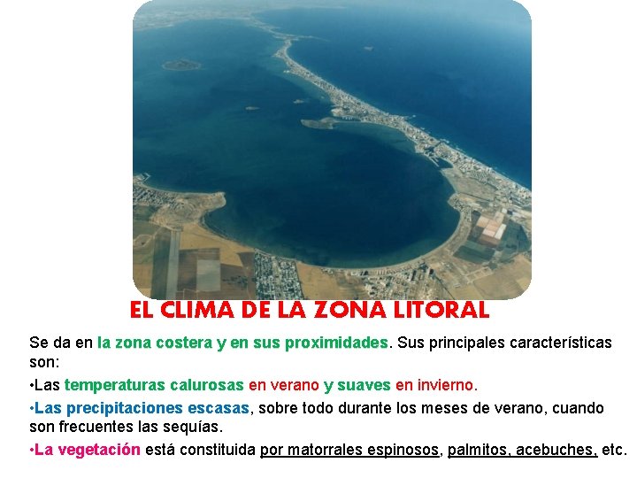 EL CLIMA DE LA ZONA LITORAL Se da en la zona costera y en