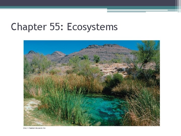 Chapter 55: Ecosystems 