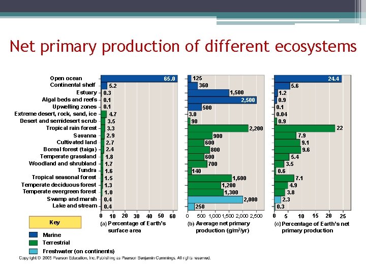 Net primary production of different ecosystems Open ocean Continental shelf Estuary Algal beds and