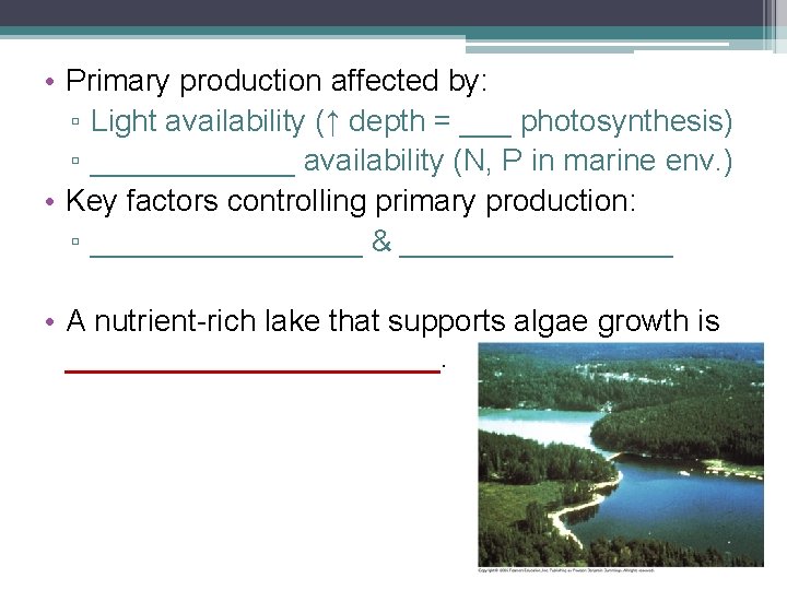  • Primary production affected by: ▫ Light availability (↑ depth = ___ photosynthesis)