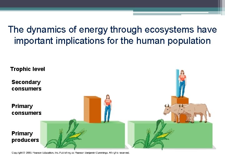 The dynamics of energy through ecosystems have important implications for the human population Trophic