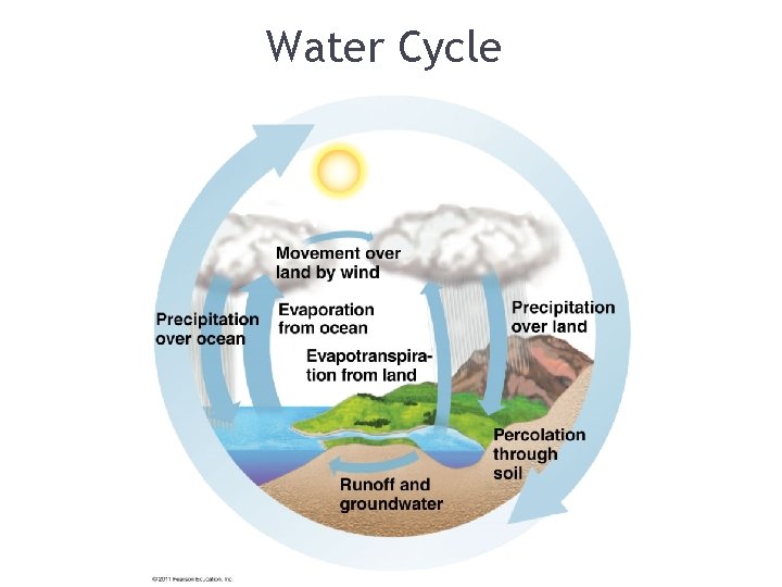 Water Cycle 