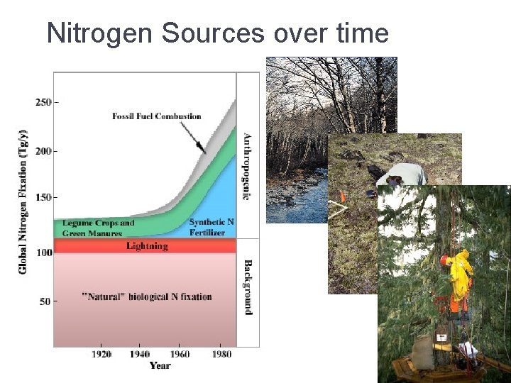 Nitrogen Sources over time 