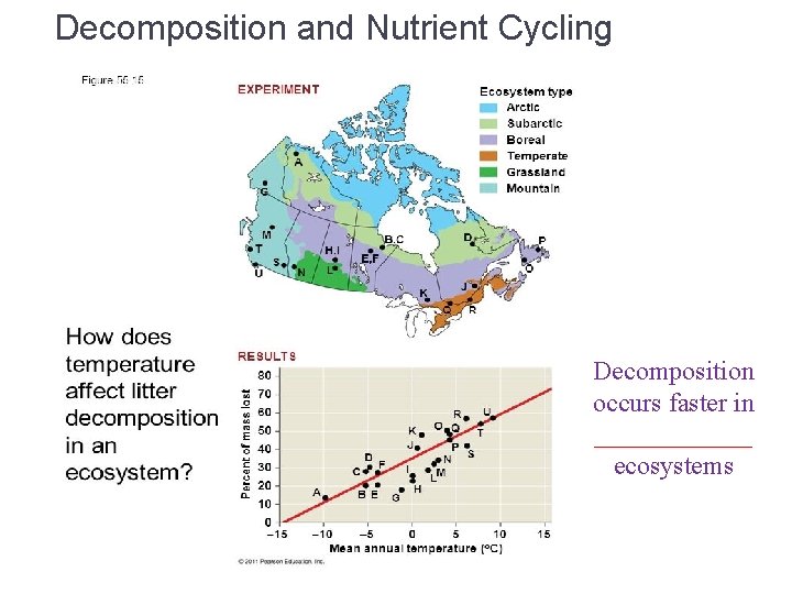 Decomposition and Nutrient Cycling Decomposition occurs faster in ______ ecosystems 