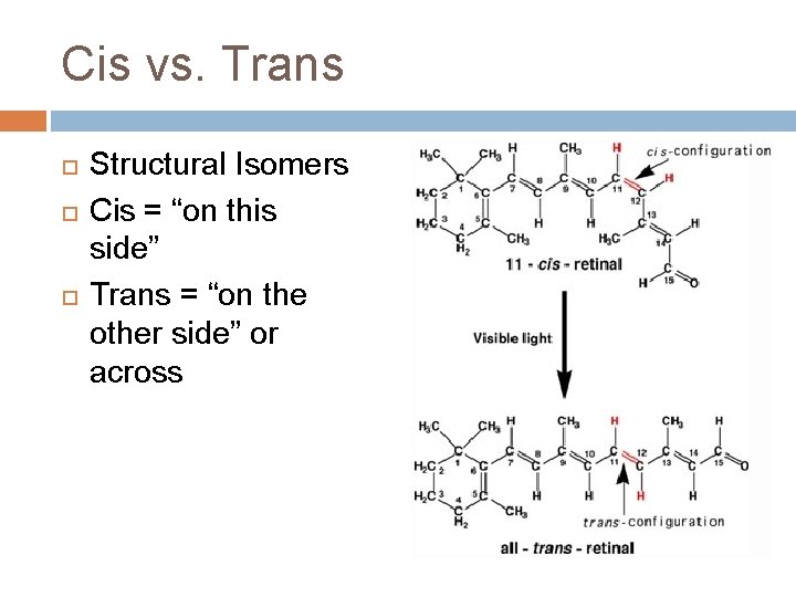 Cis vs. Trans Structural Isomers Cis = “on this side” Trans = “on the